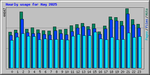 Hourly usage for May 2025