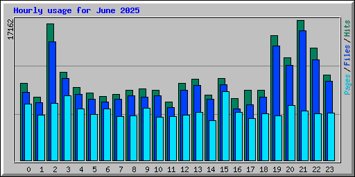 Hourly usage for June 2025
