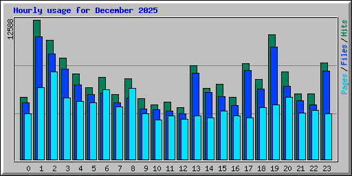 Hourly usage for December 2025
