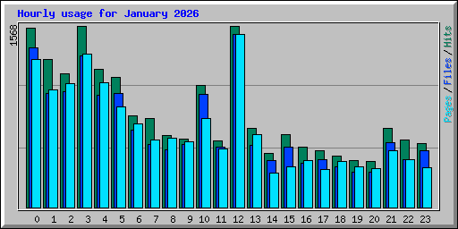 Hourly usage for January 2026