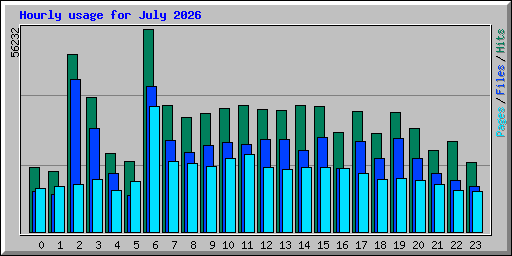 Hourly usage for July 2026