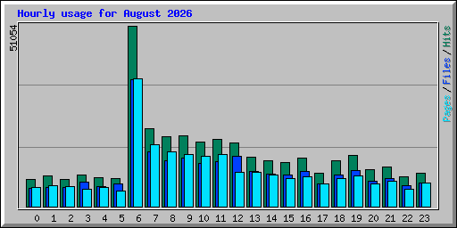 Hourly usage for August 2026